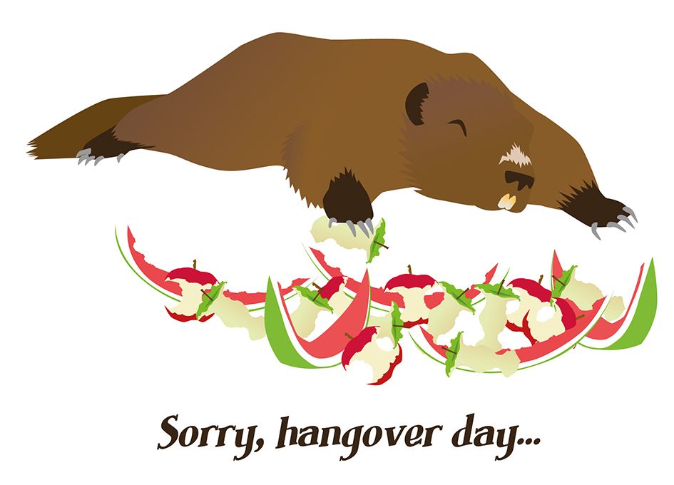 "Hangover day", l'overdose de fruits